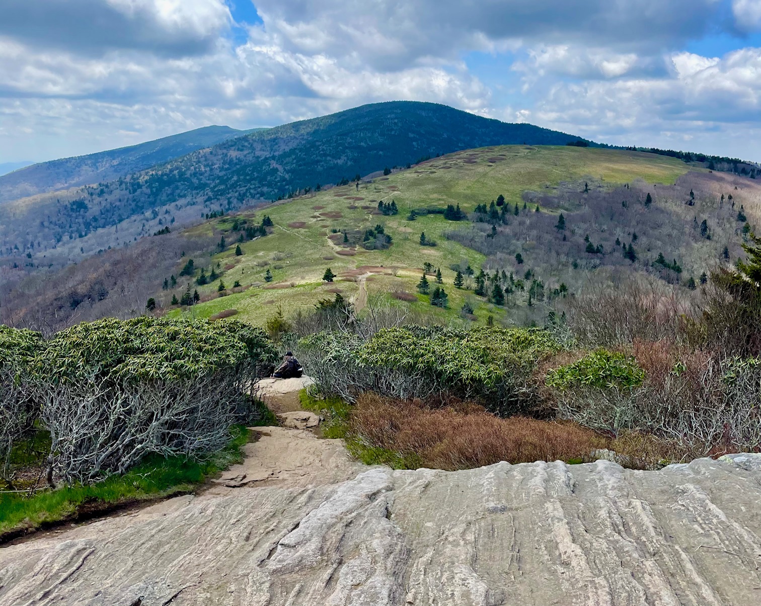 June 1416, 2024 Roan Highlands AT Backpacking Blue Ridge Hiking Co.